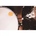 MEINL_MDH DRUM HONEY_ Atténuateurs d'harmoniques de Batterie