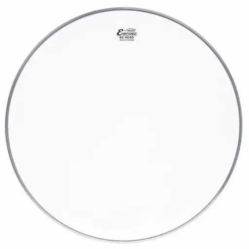 Remo Encore_Ambassador_Coated_Peau de Frappe caisse claire 14"