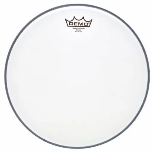 REMO_AMBASSADOR_Coated_SABLEE_Peau de Frappe caisse claire 13"
